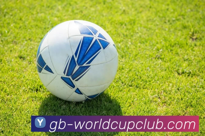 世界杯官网APP 封面图